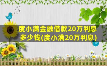 度小满金融借款20万利息多少钱(度小满20万利息)