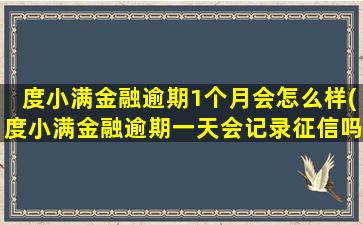 度小满金融逾期1个月会怎么样(度小满金融逾期一天会记录征信吗)