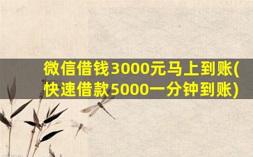 微信借钱3000元马上到账(快速借款5000一分钟到账)