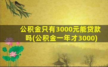 公积金只有3000元能贷款吗(公积金一年才3000)