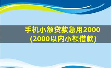 手机小额贷款急用2000(2000以内小额借款)