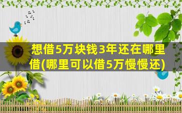 想借5万块钱3年还在哪里借(哪里可以借5万慢慢还)