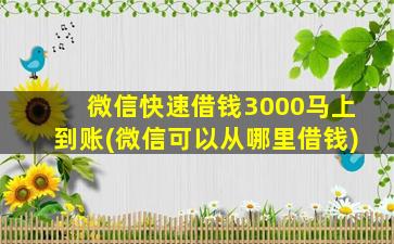 微信快速借钱3000马上到账(微信可以从哪里借钱)