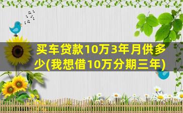 买车贷款10万3年月供多少(我想借10万分期三年)