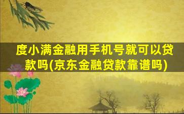 度小满金融用手机号就可以贷款吗(京东金融贷款靠谱吗)