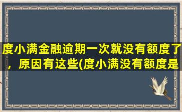 度小满金融逾期一次就没有额度了，原因有这些(度小满没有额度是什么原因)