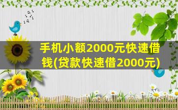 手机小额2000元快速借钱(贷款快速借2000元)