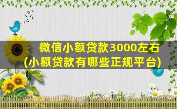 微信小额贷款3000左右(小额贷款有哪些正规平台)