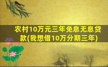 农村10万元三年免息无息贷款(我想借10万分期三年)