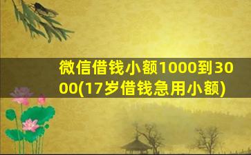 微信借钱小额1000到3000(17岁借钱急用小额)