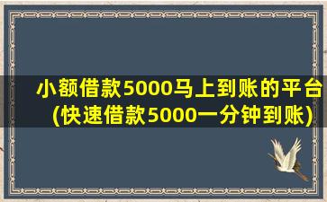 小额借款5000马上到账的平台(快速借款5000一分钟到账)