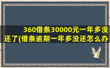 360借条30000元一年多没还了(借条逾期一年多没还怎么办)