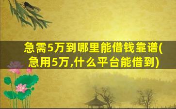 急需5万到哪里能借钱靠谱(急用5万,什么平台能借到)