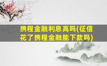 携程金融利息高吗(征信花了携程金融能下款吗)