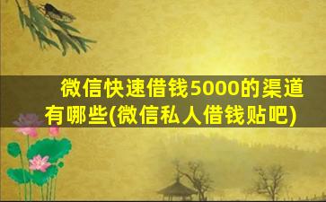 微信快速借钱5000的渠道有哪些(微信私人借钱贴吧)