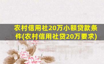 农村信用社20万小额贷款条件(农村信用社贷20万要求)