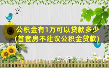 公积金有1万可以贷款多少(首套房不建议公积金贷款)