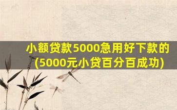 小额贷款5000急用好下款的(5000元小贷百分百成功)