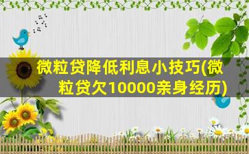 微粒贷降低利息小技巧(微粒贷欠10000亲身经历)