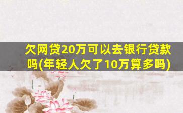 欠网贷20万可以去银行贷款吗(年轻人欠了10万算多吗)