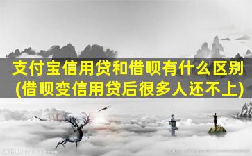 支付宝信用贷和借呗有什么区别(借呗变信用贷后很多人还不上)