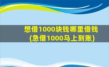 想借1000块钱哪里借钱(急借1000马上到账)