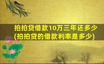 拍拍贷借款10万三年还多少(拍拍贷的借款利率是多少)