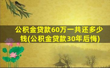 公积金贷款60万一共还多少钱(公积金贷款30年后悔)