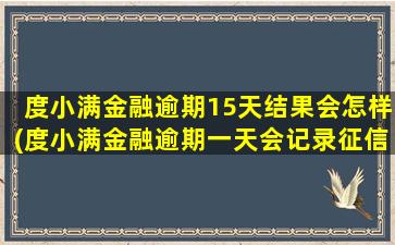 度小满金融逾期15天结果会怎样(度小满金融逾期一天会记录征信吗)