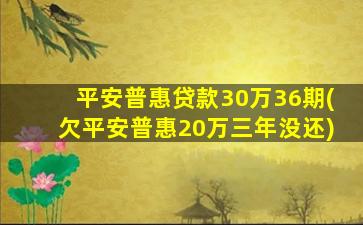 平安普惠贷款30万36期(欠平安普惠20万三年没还)