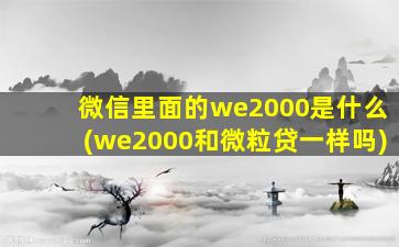 微信里面的we2000是什么(we2000和微粒贷一样吗)