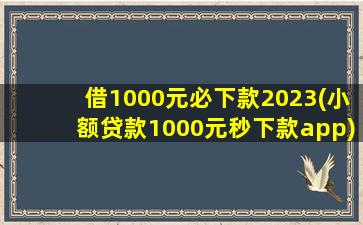 借1000元必下款2023(小额贷款1000元秒下款app)