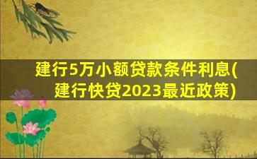 建行5万小额贷款条件利息(建行快贷2023最近政策)