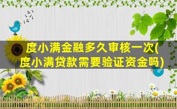 度小满金融多久审核一次(度小满贷款需要验证资金吗)