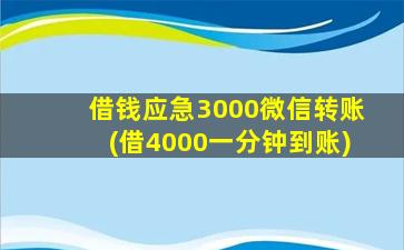 借钱应急3000微信转账(借4000一分钟到账)