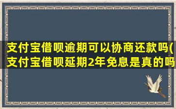 支付宝借呗逾期可以协商还款吗(支付宝借呗延期2年免息是真的吗)