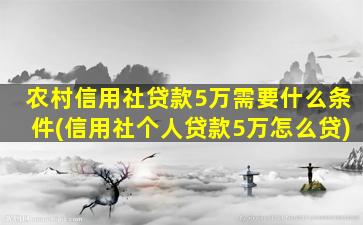 农村信用社贷款5万需要什么条件(信用社个人贷款5万怎么贷)