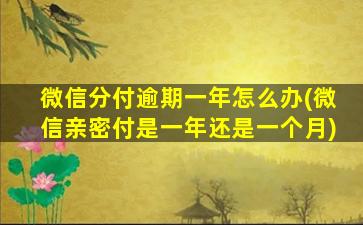 微信分付逾期一年怎么办(微信亲密付是一年还是一个月)