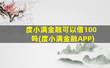 度小满金融可以借100吗(度小满金融APP)