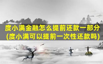 度小满金融怎么提前还款一部分(度小满可以提前一次性还款吗)