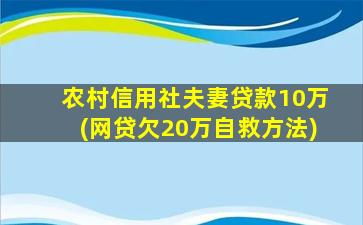 农村信用社夫妻贷款10万(网贷欠20万自救方法)