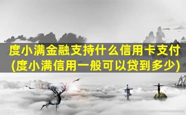 度小满金融支持什么信用卡支付(度小满信用一般可以贷到多少)