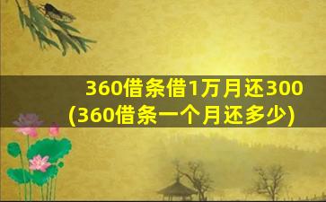 360借条借1万月还300(360借条一个月还多少)