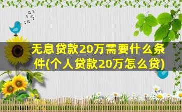 无息贷款20万需要什么条件(个人贷款20万怎么贷)