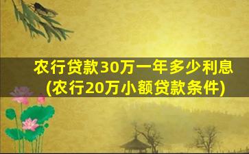 农行贷款30万一年多少利息(农行20万小额贷款条件)