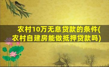 农村10万无息贷款的条件(农村自建房能做抵押贷款吗)