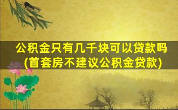 公积金只有几千块可以贷款吗(首套房不建议公积金贷款)