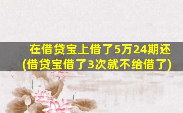 在借贷宝上借了5万24期还(借贷宝借了3次就不给借了)