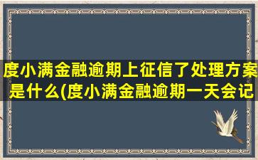 度小满金融逾期上征信了处理方案是什么(度小满金融逾期一天会记录征信吗)