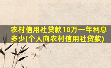 农村信用社贷款10万一年利息多少(个人向农村信用社贷款)